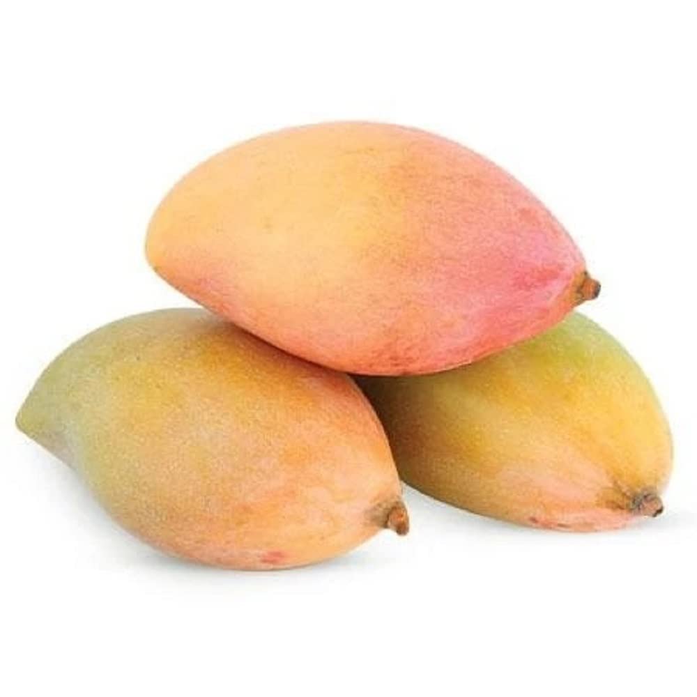 Mangoes (Embe) - Image 4