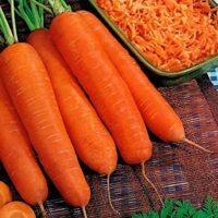 Carrots (Karoti)
