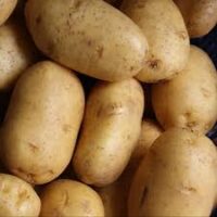 Irish Potatoes (Viazi Mviringo)