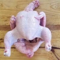 Broiler Chicken (Kuku wa Kisasa)