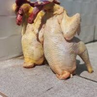 Local Chicken (Kuku wa Kienyeji)