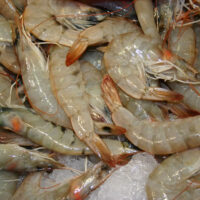 Indian Ocean Prawns (Kamba wa Baharini)