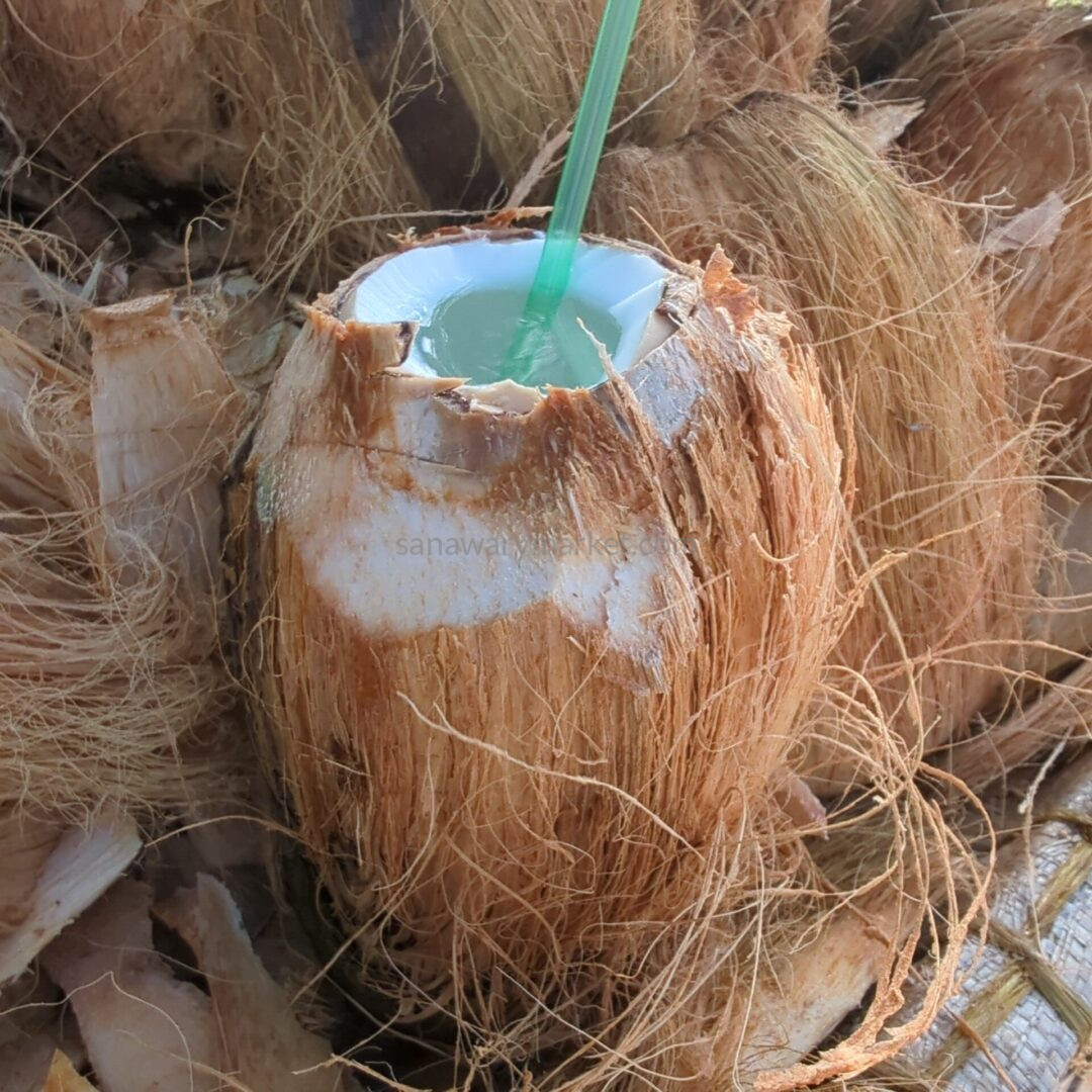 Unripe Coconut (Madafu) - Image 4