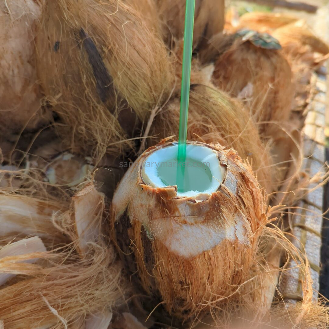 Unripe Coconut (Madafu) - Image 3