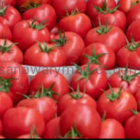 TOMATOES (NYANYA)