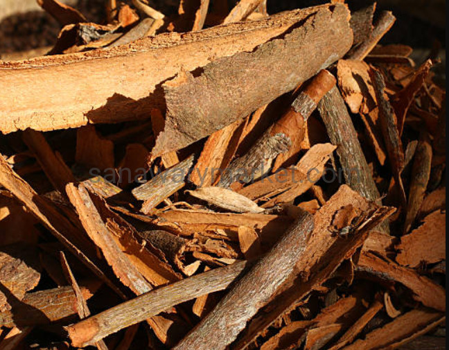 Zanzibar Cinnamon Sticks (Mdalasini wa Zanzibar) - Image 2
